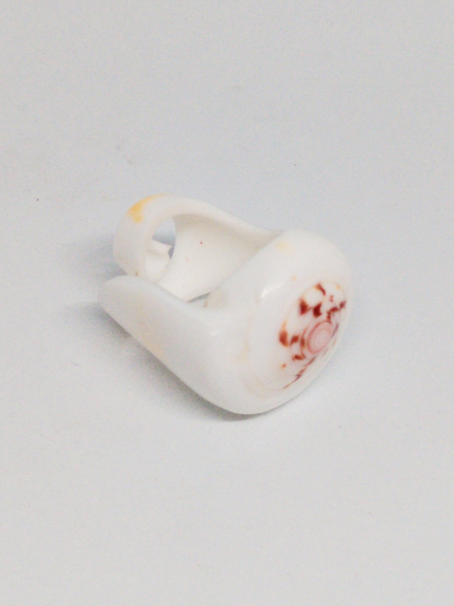 Shell ring