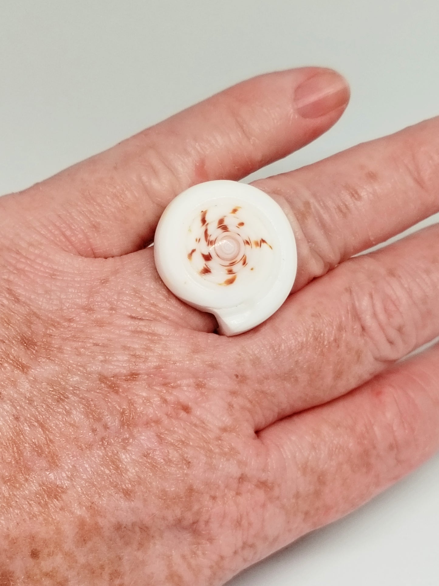 Shell ring