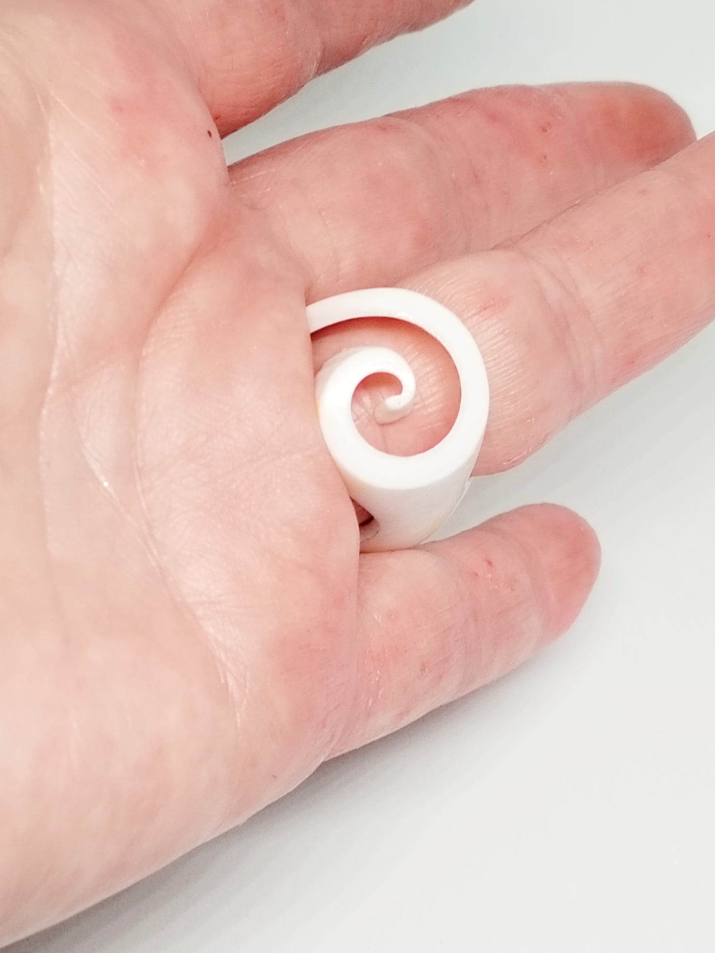 Shell ring